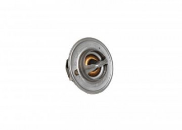 Thermostat, JCB # 02/100071