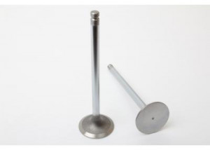 Inlet Valve - Build 5, JCB # 02/301255